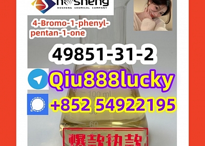 49851-31-2  4-Bromo-1-phenyl-pentan-1-one 