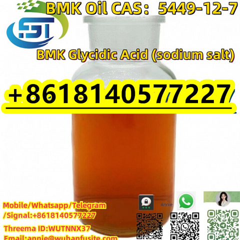 99% Purity Glycidic Acid (Sodium Salt) BMK Chemical CAS 5449-12-7 White Crystal Type