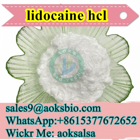 lidocaine hcl powder cas 73-78-9 lidocaine hydrochloride best price lidocaine hcl China supplier