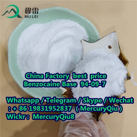 China supplier free sample High Purity 99% Benzocaine CAS No. 94-09-7 Manufacturer Sotocks Supply