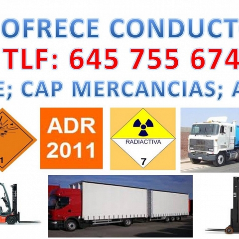 Driver C+E; Code 95, ADR 2011