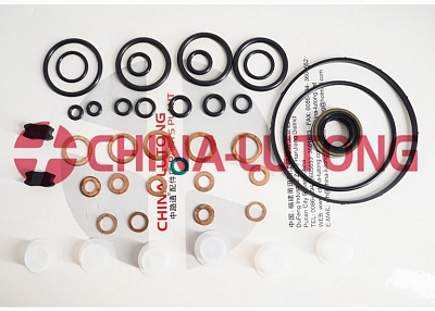 Pump Repair kits Gasket kit And Rebuild Kit 800647 Overhaul Kit