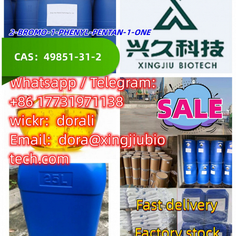 China Supply 2-BROMO-1-PHENYL-PENTAN-1-ONE 49851-31-2 Manufacturer