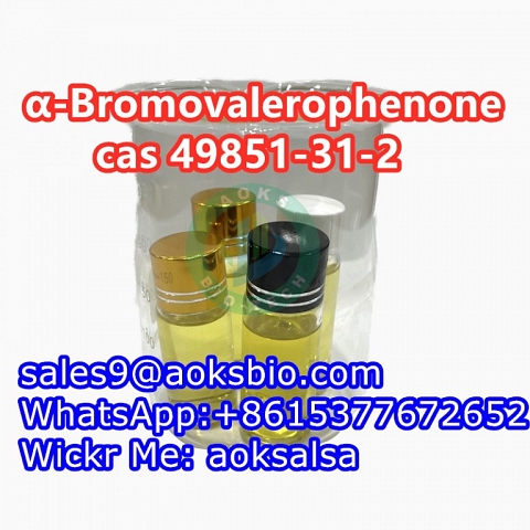 cas 49851-31-2 2-Bromo-1-phenyl-1-pentanone 498514-31-2 China supplier safe delivery to Russia