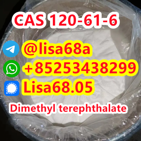 CAS 120-61-6 Dimethyl terephthalate C10H10O4