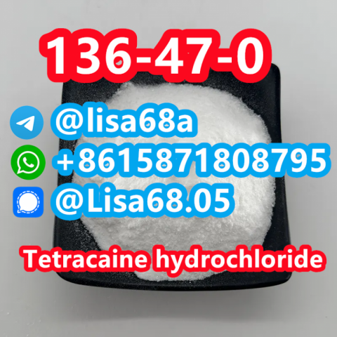 CAS 136-47-0 Tetracaine hydrochloride C15H25ClN2O2