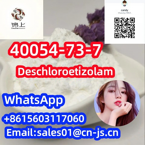 top quality  Deschloroetizolam CAS40054-73-7 