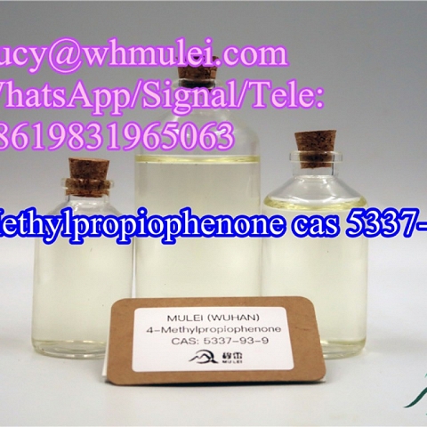 Manufacturer High Quality 4-Methylpropiophenone CAS 5337-93-9 Free of Custom Clearance