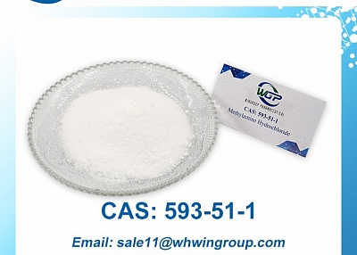 Methylamine Hydrochloride CAS 593-51-1