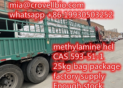 Methylamine hcl CAS 593-51-1 supplier in CHina whatsapp +86 19930503252 