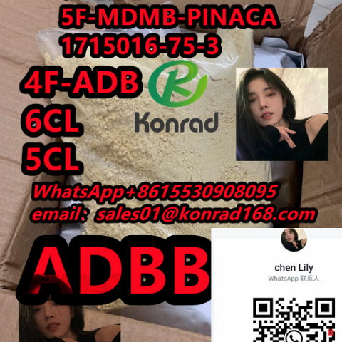  5F-MDMB-PINACA  CAS:1715016-75-3