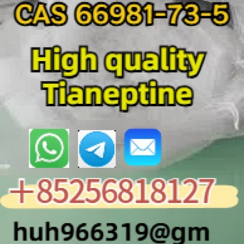 出售CAS66981-73-5 Tianeptine中国供应商