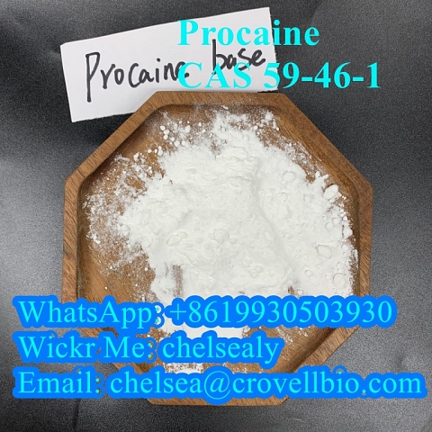 Procaine CAS 59-46-1