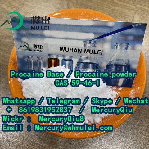 Double clearance custom fast delivery Local Anesthetic Drug Procaine Powder Price 59-46-1