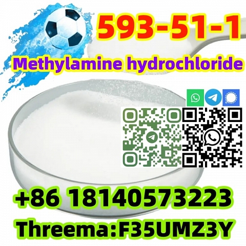 Buy Hot sale CAS 593-51-1 Methylamine hydrochloride with Safe Delivery