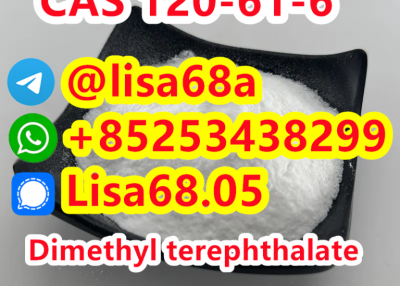 CAS 120-61-6 Dimethyl terephthalate C10H10O4