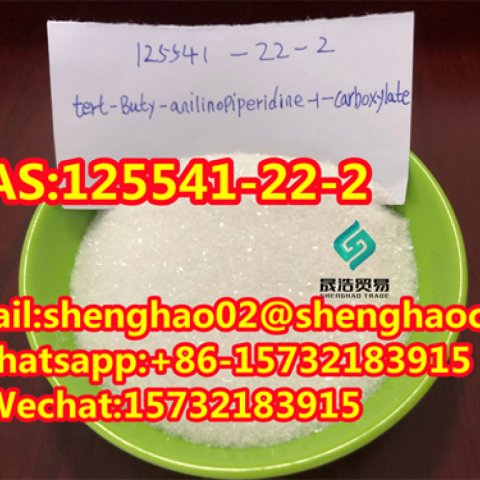 The Best Price of 1-Boc-4- (Phenylamino) Piperidine CAS No 125541-22-2 99% White powder 125541-22-2 