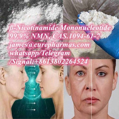 99.9% raw β-Nicotinamide Mononucleotide NMN 1094-61-7 NAD+ NADP NADH powder factory supplier