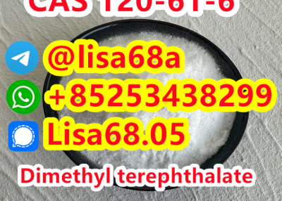 CAS 120-61-6 Dimethyl terephthalate C10H10O4