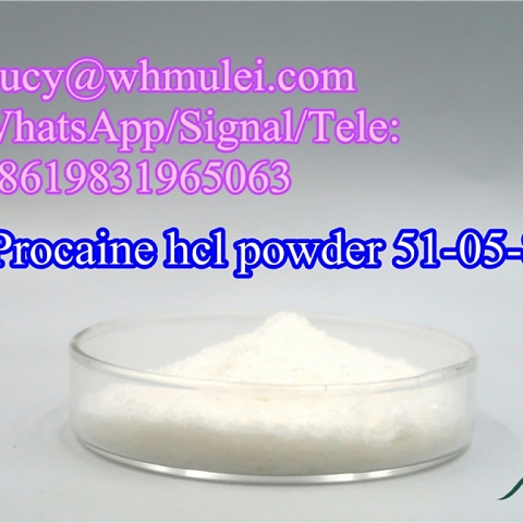 Procaine hcl Powder CAS 51-05-8 Local Anesthetics Drug High Quality Procaine hcl Manufacturer