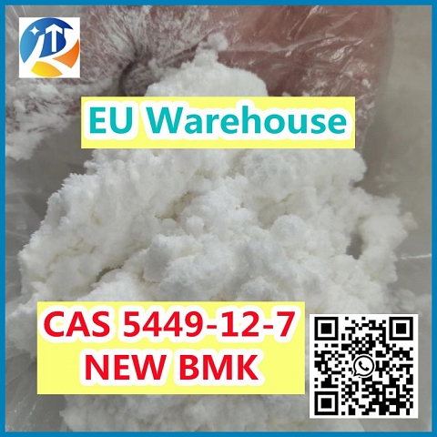 BMK Glycidic Acid (sodium salt) CAS 5449-12-7 Powder with Safe Delivery