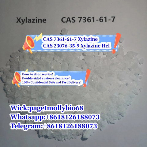 new Batch Chemical raw materials cas 7361-61-7 Xylazine 100% Safe delivery to USA/Mexico!