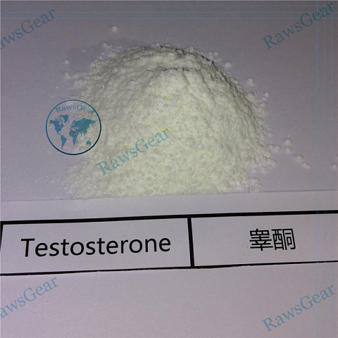 Testosterone Base