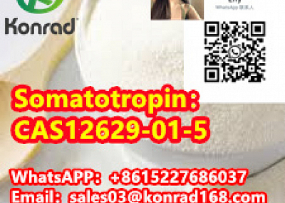 Somatotropin：CAS12629-01-5