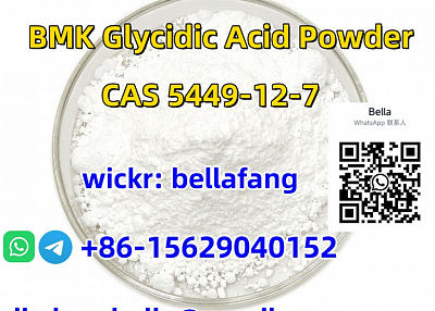 Hot sale  BMK Glycidic Acid Powder BMK Glycidic Acid Sodium Salt Cas 5449-12-7 White Powder