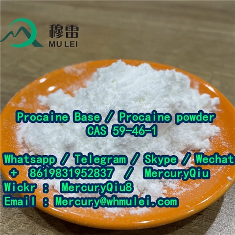 Double clearance custom fast delivery Local Anesthetic Drug Procaine Powder Price 59-46-1