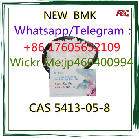 CAS 5413–05–8 NEW BMK oil BMK powder Chemical