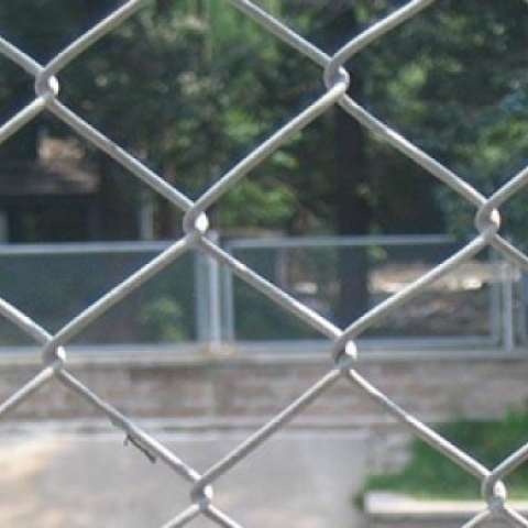 PVC Vinyl Coated Chain Link Fence