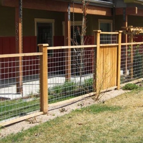 Versatile Hog Panels for Livestock Fencing, Trellis, Fencing