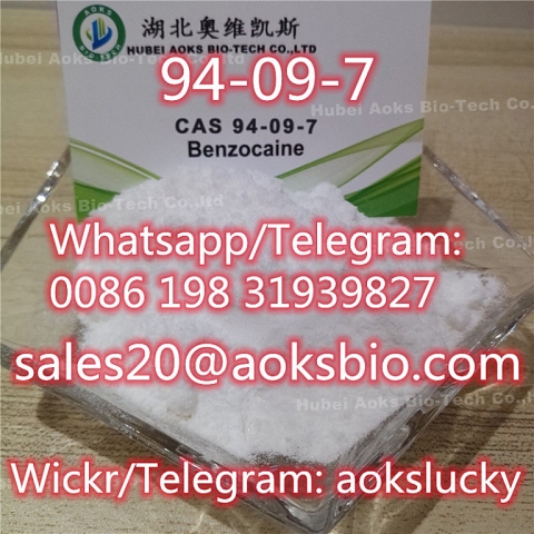 Anesthetic Powder Benzocaine for Anti-Paining CAS 94-09-7 Manufacturer Supply