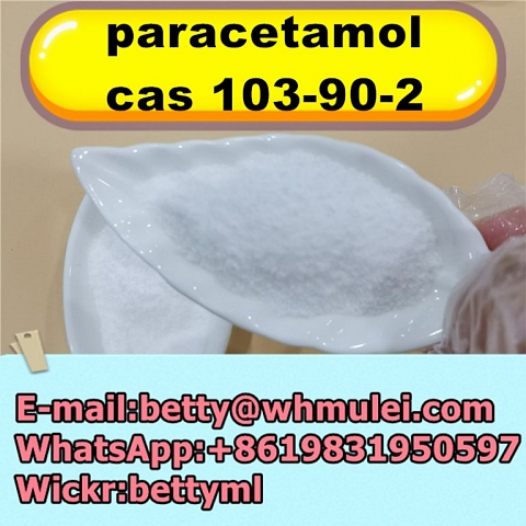 Best price paracetamol cas 103-90-2,4-Acetamidophenol powder,103-90-2 China manufacturer