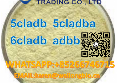 5cladba CAS 674793-32-9 5-chloro-2-fluorobenzamidine