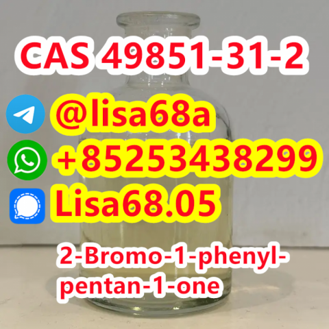 CAS 49851-31-2 2-Bromo-1-phenyl-pentan-1-one C11H13BrO