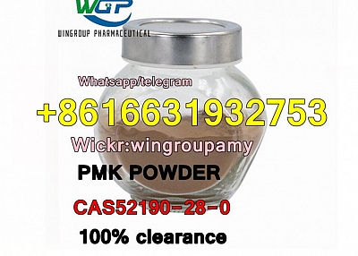 cas52190-28-0  new pmk powder Chinese factory supply with good price and safe delivery