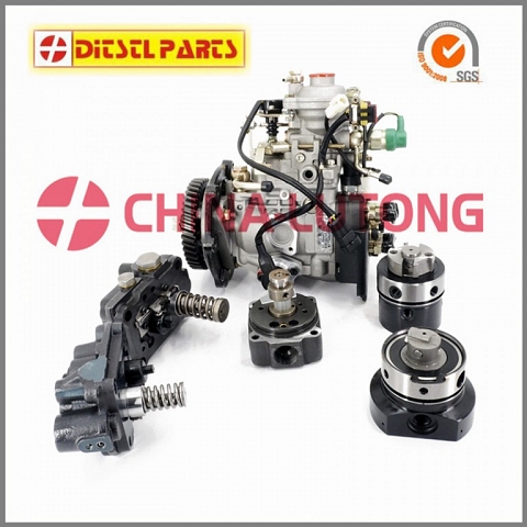 Fuel Injection Pump Head Rotor 7185-913L DP200 Head Rotor 3/7R For Delphi Lucas From China Supplior