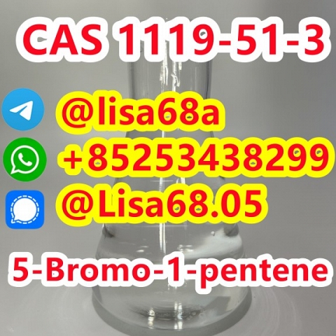 CAS 1119-51-3 5-Bromo-1-pentene C5H9Br