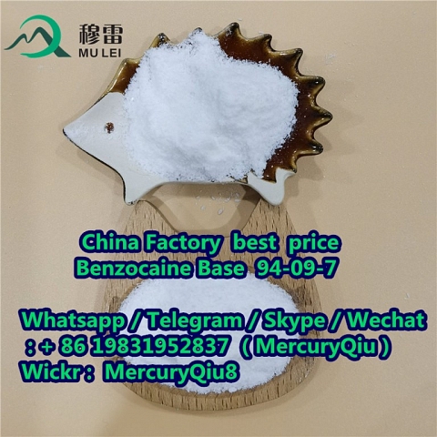 China supplier free sample High Purity 99% Benzocaine CAS No. 94-09-7 Manufacturer Sotocks Supply