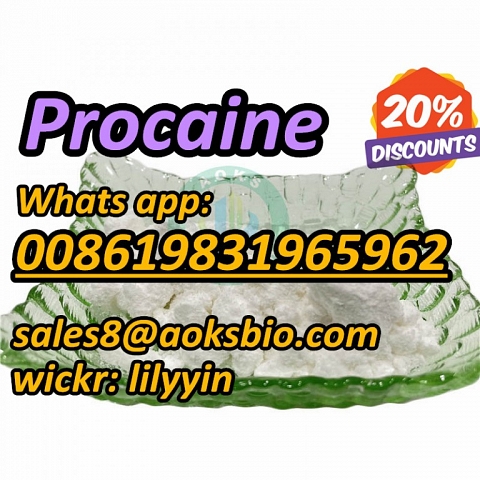 UK Canada buy cas 59-46-1 procaine powder,