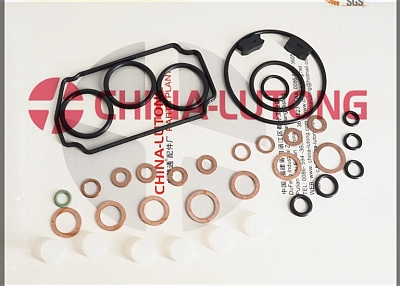 bosch diesel injector rebuild Repair Kits Z 146600-1120 B 9 461 610 423 Fl 800600 for Ve Pump Parts 