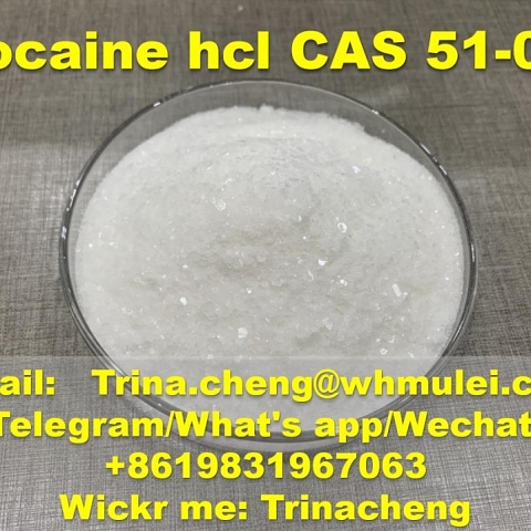 Safety delivery Procaine hydrochloride procaine hcl powder from China supplier 51-05-8