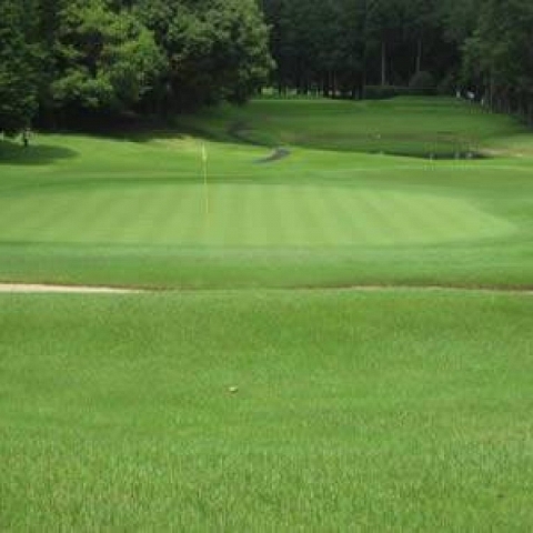 Gopher Control Wire Mesh Protects Lawn and Individual Plant