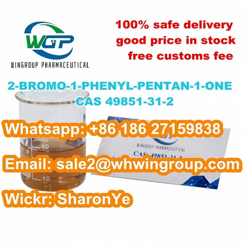 +8618627159838 Buy 2-BROMO-1-PHENYL-PENTAN-1-ONE CAS 49851-31-2 to Russia/Ukraine/USA/Australia