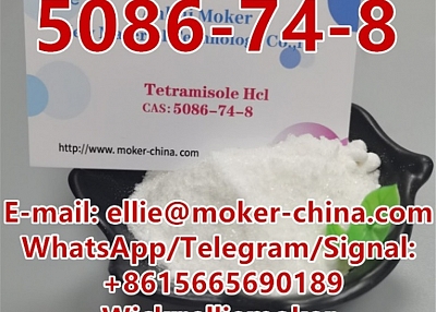 High Quality Pharmaceutical chemical Tetramisole Hydrochloride / levamisole HCl CAS: 5086-74-8