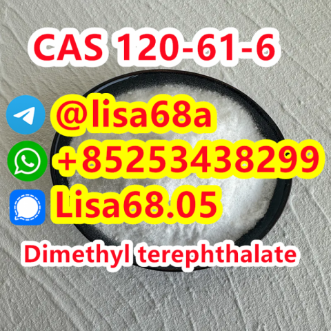 CAS 120-61-6 Dimethyl terephthalate C10H10O4