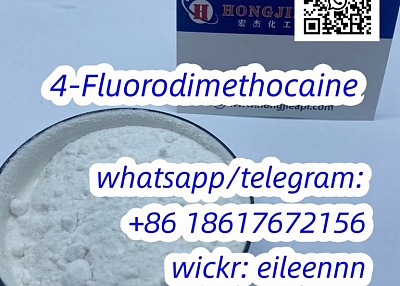 134507-62-3 4-Fluorodimethocaine china in stock