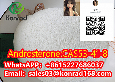 Androsterone:CAS53-41-8